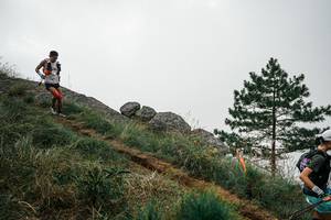 BIB: 
                            <button type="button" onclick="openModal(25995913)" class="btn btn-primary btn-sm float-right btn-popup" data-toggle="modal" data-target=".modal-high-quality">
                        <i class="fas fa-shopping-cart"></i> Add to Cart
                    </button>
                                            <button type="button" onclick="isThisMe(25995913, true)" class="btn btn-success btn-sm float-right btn-popup btn-isme hidden" data-toggle="tooltip" data-placement="bottom" title="นี่คือรูปของคุณใช่ไหม คลิกที่นี่เพื่อเอาเข้าอัลบั้ม">
                        <i class="fas fa-plus"></i> Add to album
                    </button>
                    <button type="button" onclick="isThisMe(25995913, false)" class="btn btn-warning btn-sm float-right btn-popup btn-isnotme hidden">
                        <i class="fas fa-ban"></i> Remove from album
                    </button>